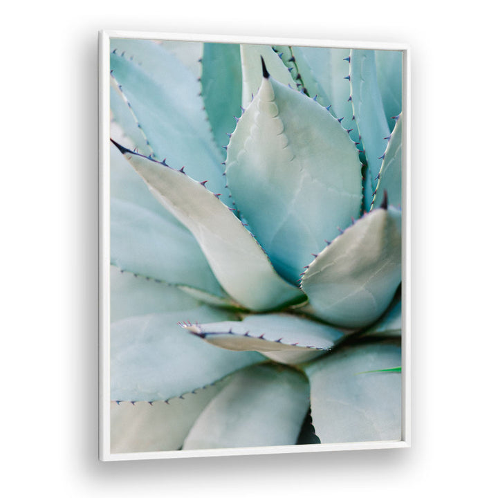 SUCCULENT GREEN BY RAISA ZWART , LANDSCAPE PHOTO PRINTS