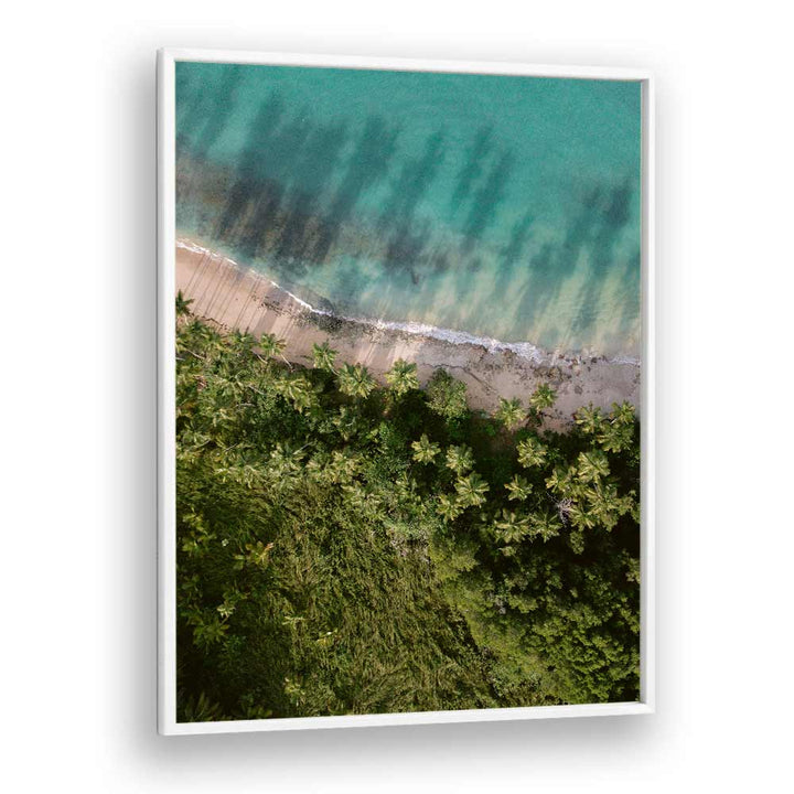 PALM BEACH FROM ABOVE  BY RAISA ZWART , LANDSCAPE PHOTO PRINTS