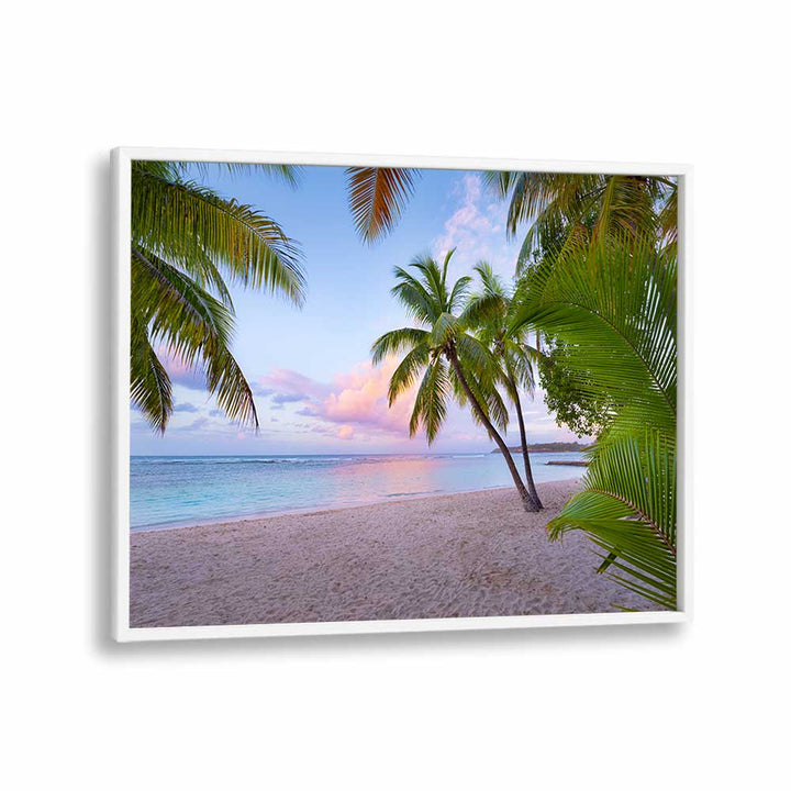 TROPICAL BEACH BY STEFAN HEFELE , LANDSCAPE PHOTO PRINTS