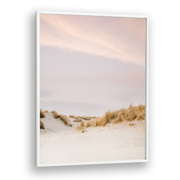 AMELAND DUNES III , PHOTOGRAPHY PRINTS