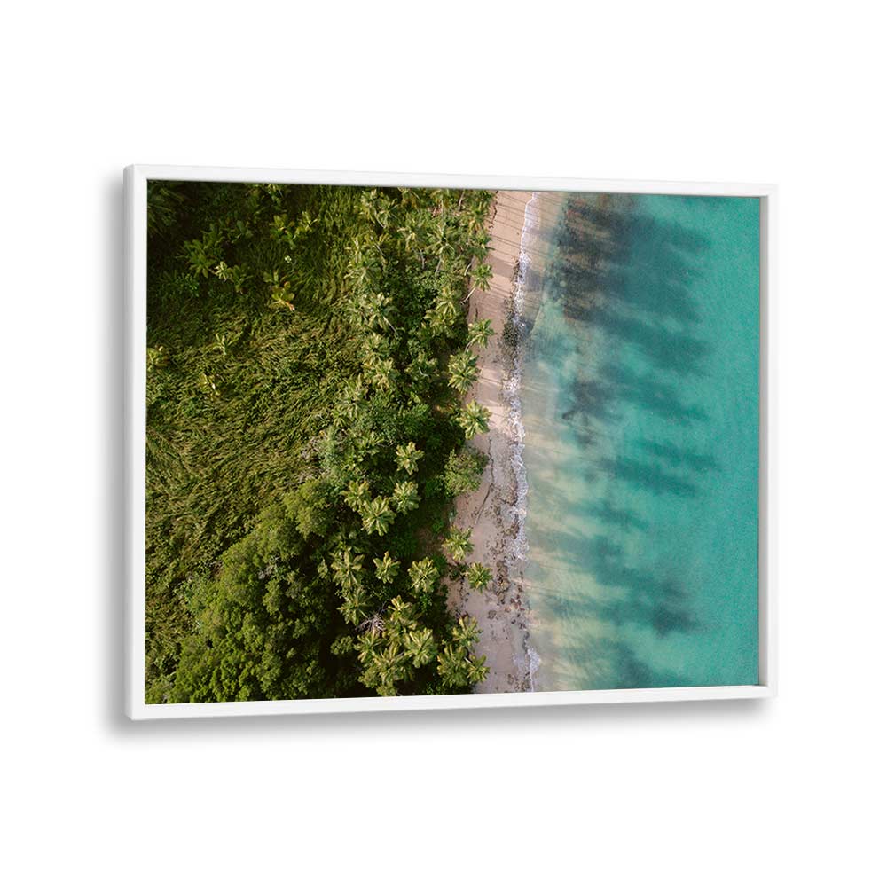 GREEN BEACH FROM ABOVE II BY RAISA ZWART , LANDSCAPE PHOTO PRINTS