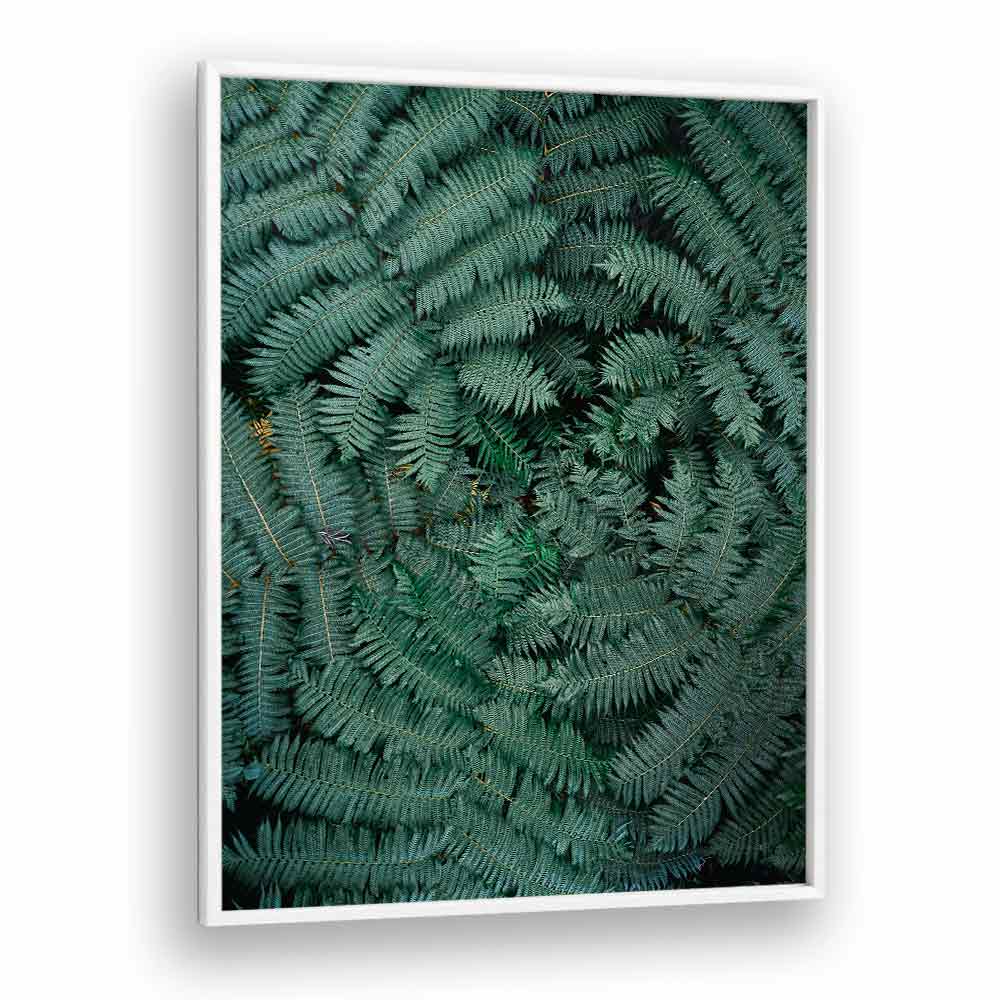 GREEN LEAVES , PHOTOGRAPHY PRINTS