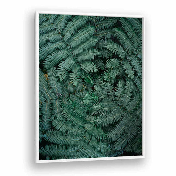 GREEN LEAVES , PHOTOGRAPHY PRINTS