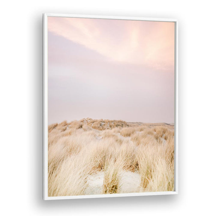 AMELAND DUNES II BY RAISA ZWART , LANDSCAPE PHOTO PRINTS