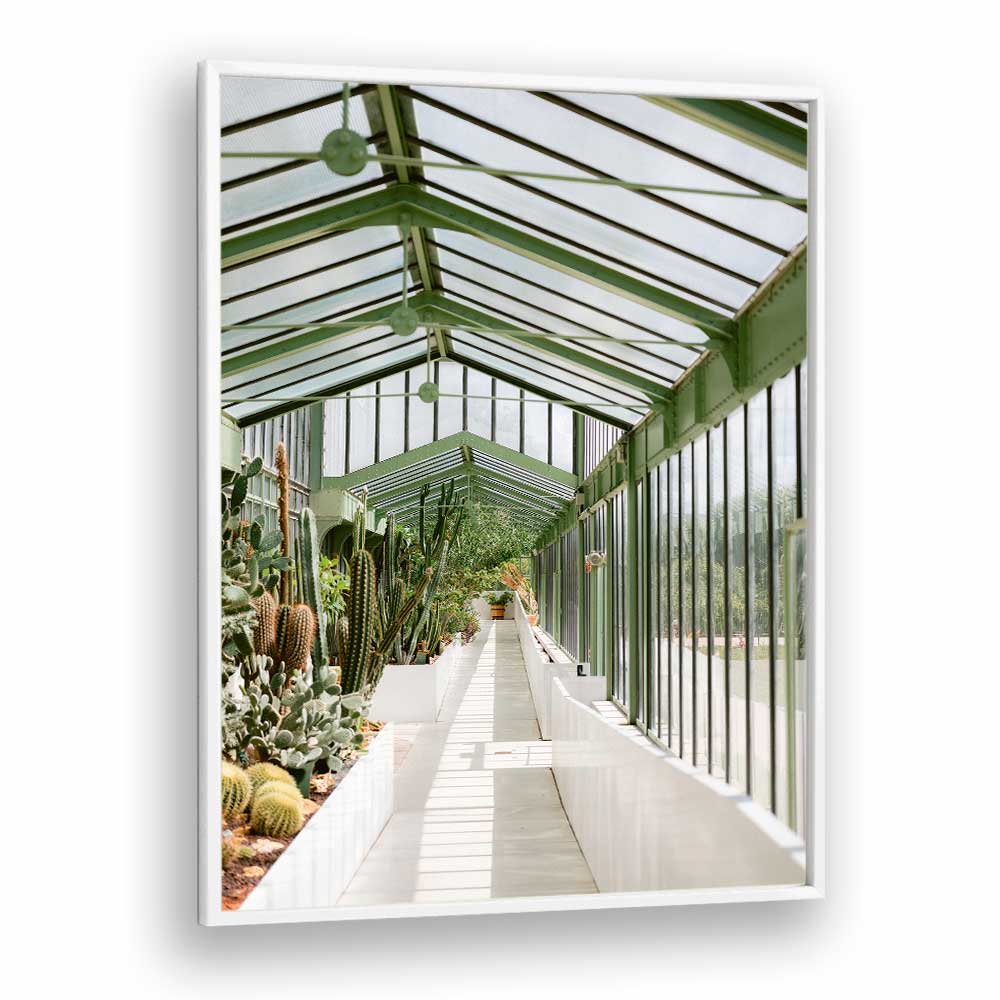 BOTANICAL GARDEN OF PARIS BY RAISA ZWART , LANDSCAPE PHOTO PRINTS