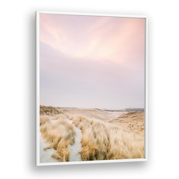 AMELAND DUNES I , PHOTOGRAPHY PRINTS