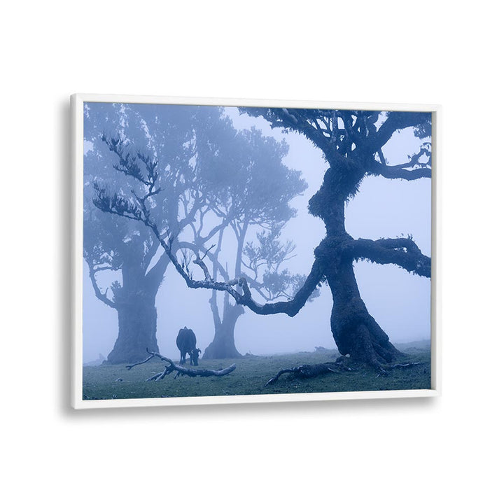 BLUE ENT , LANDSCAPE PHOTO PRINTS , LANDSCAPE PHOTOGRAPHY