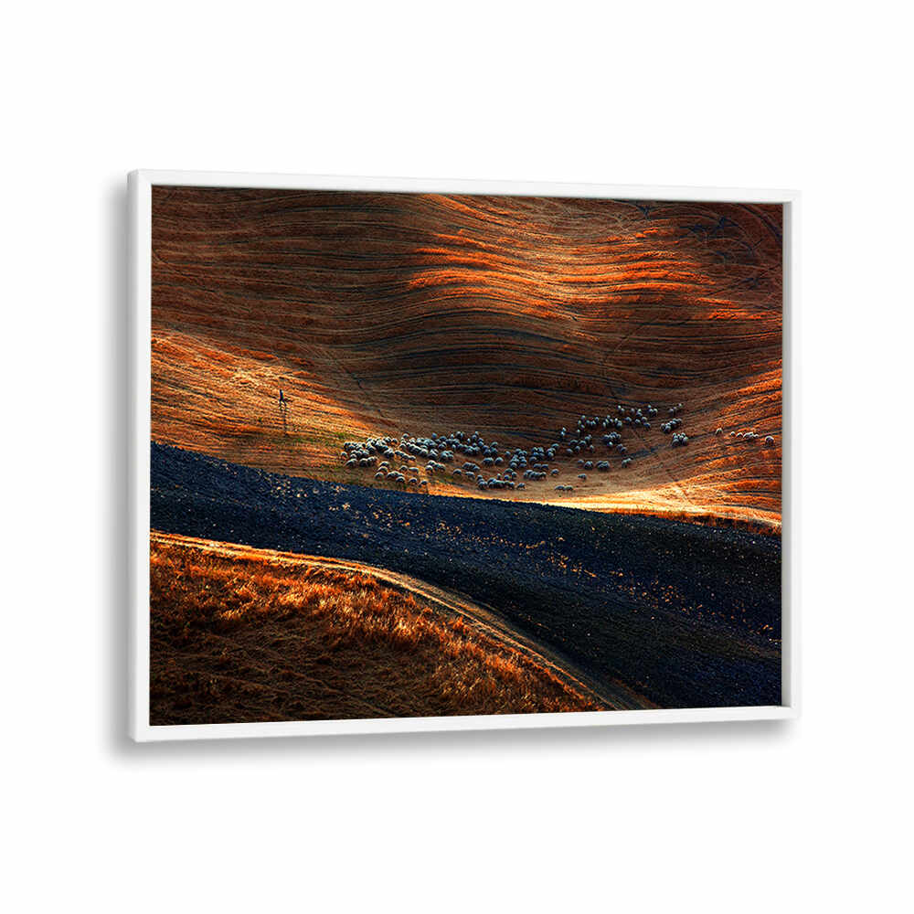 IL GREGGE , PHOTOGRAPHY PRINTS