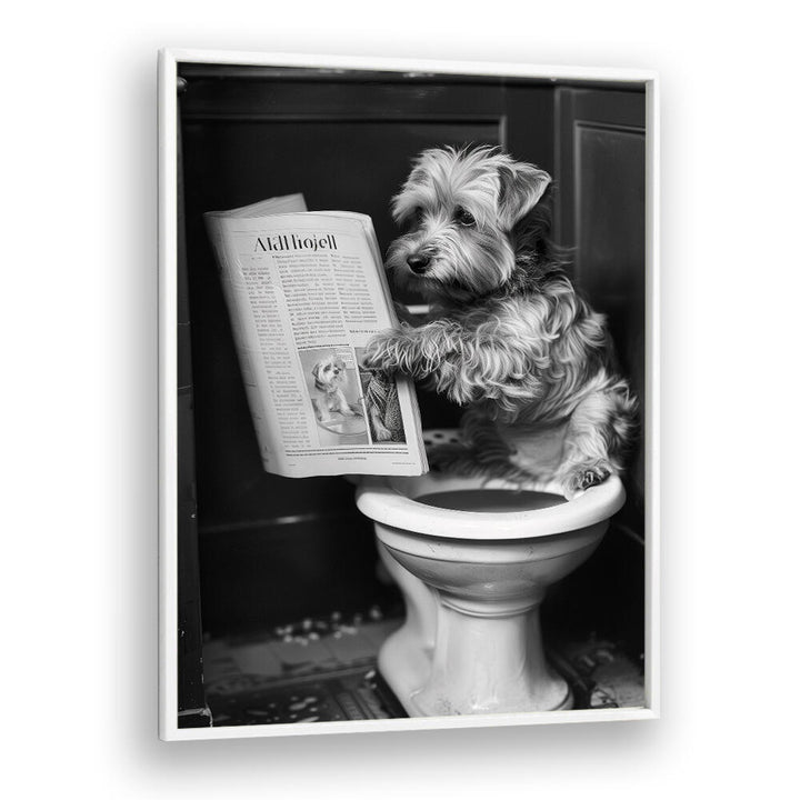 DOGGY DOING A DOO DOO