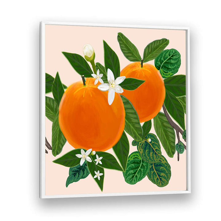 ORANGES , KITCHEN POSTERS
