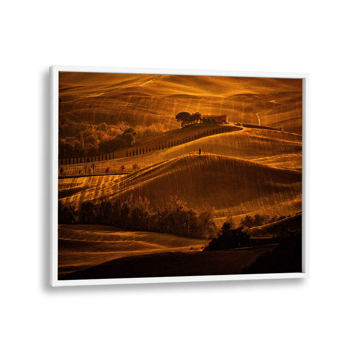 IL CIPRESSO , PHOTOGRAPHY PRINTS