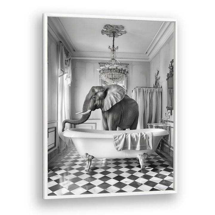 A BATHROOM OCCUPIED