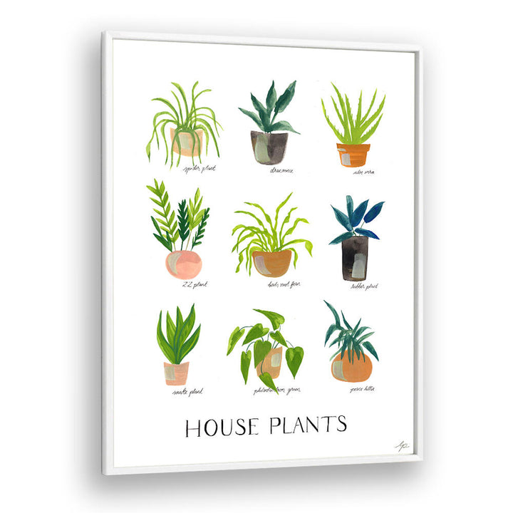 HOUSEPLANTS , FLORAL FLOWER PAINTINGS