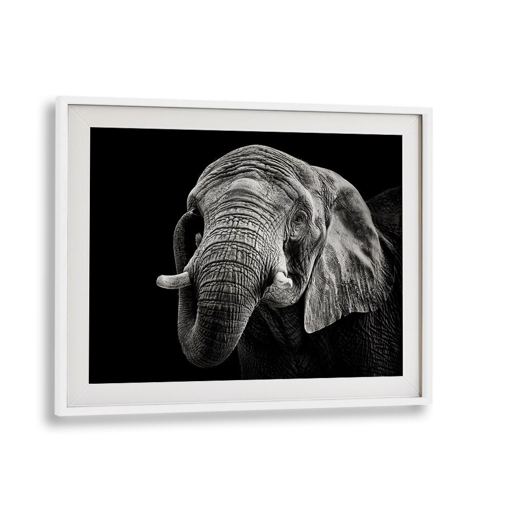 Stunning AFRICAN ELEPHANT, PHOTOGRAPHY PRINTS showcase the majesty of wildlife in a captivating black-and-white frame.