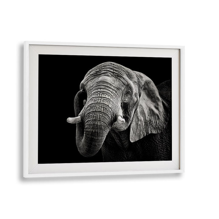 Stunning AFRICAN ELEPHANT, PHOTOGRAPHY PRINTS showcase the majesty of wildlife in a captivating black-and-white frame.
