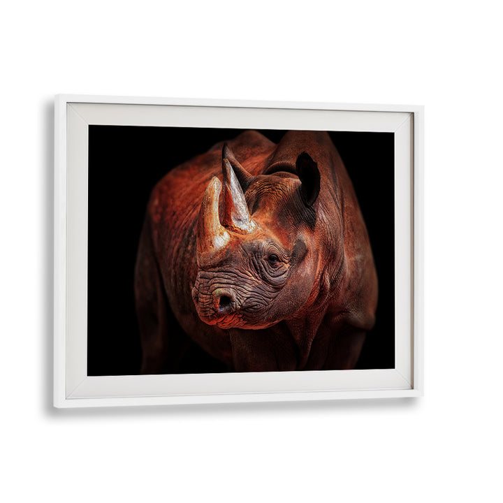Stunning "Rhino Posing" photography prints by Antje Wenner Braun, capturing wildlife majesty in vivid detail.