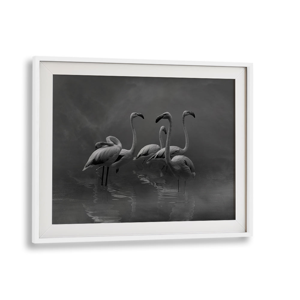 Elegant black and white photography print showcasing serene flamingos in "FLAMINGO PARADISE, PHOTOGRAPHY PRINTS."