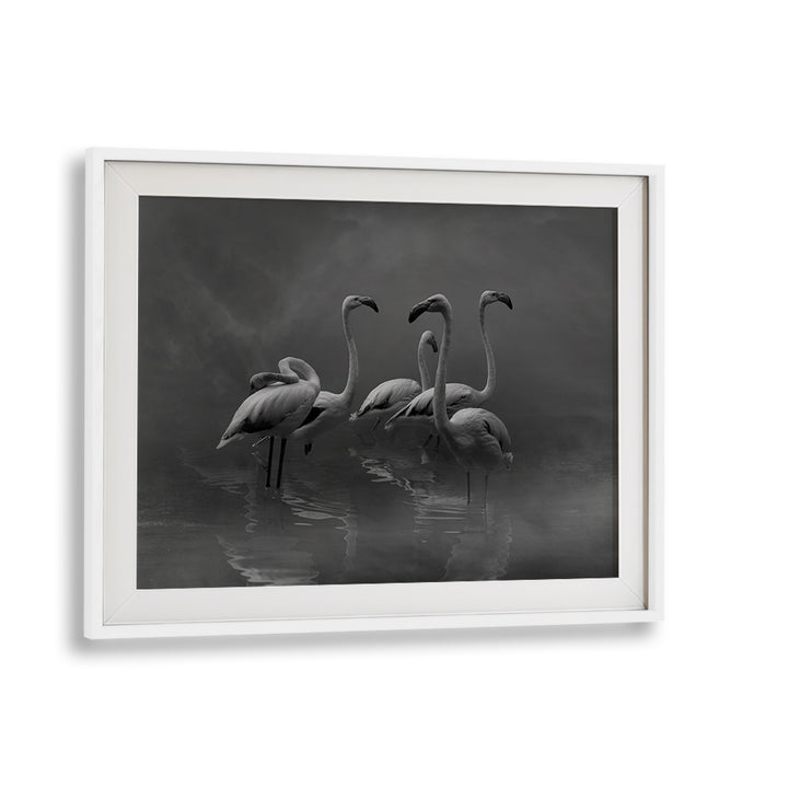 Elegant black and white photography print showcasing serene flamingos in "FLAMINGO PARADISE, PHOTOGRAPHY PRINTS."