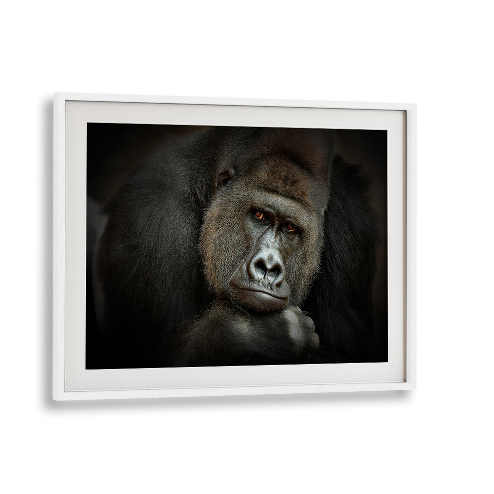 Stunning close-up of a gorilla, capturing wildlife beauty in PEACEFUL GIANT, PHOTOGRAPHY PRINTS by Antje Wenner Braun.