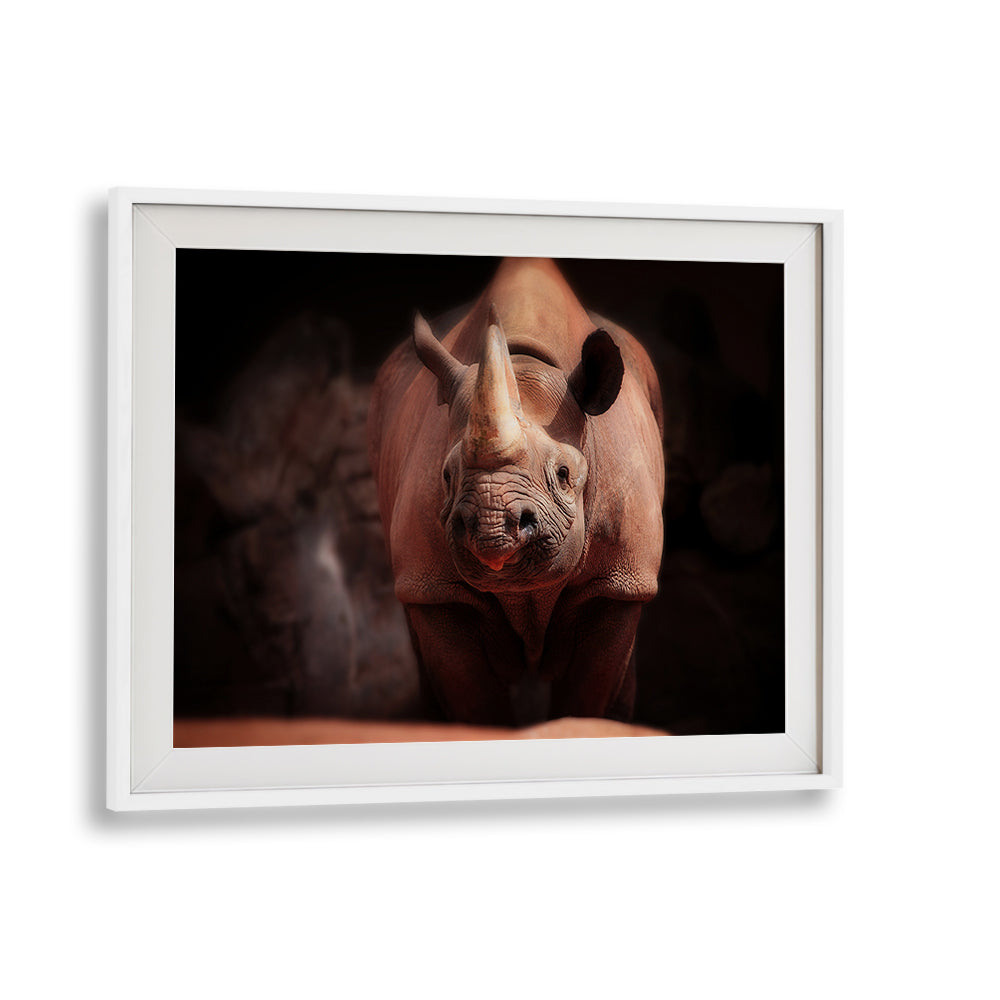Captivating wildlife photography print of a rhinoceros from WHAT'S GOIN ON, PHOTOGRAPHY PRINTS collection.