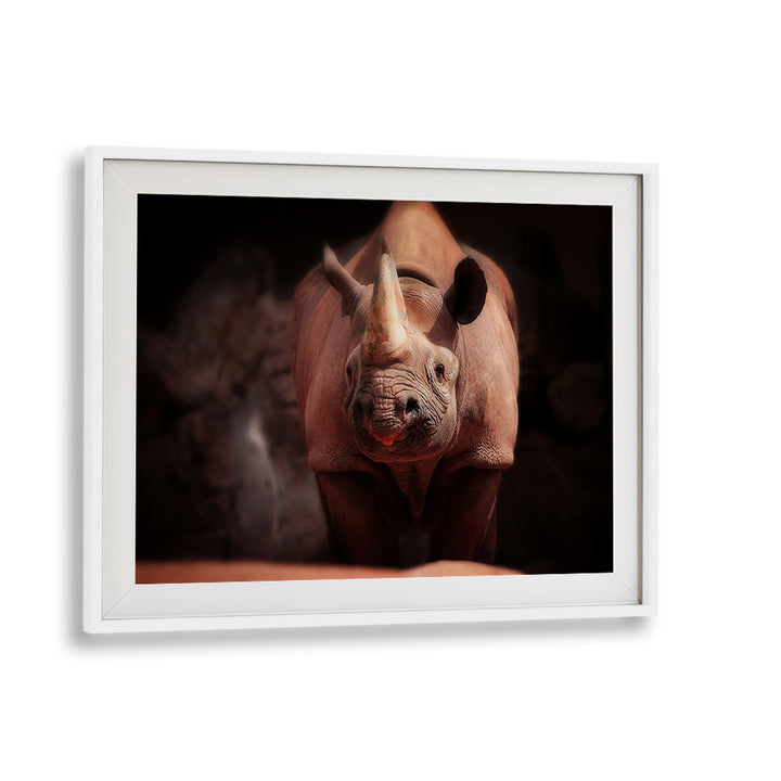 Captivating wildlife photography print of a rhinoceros from WHAT'S GOIN ON, PHOTOGRAPHY PRINTS collection.