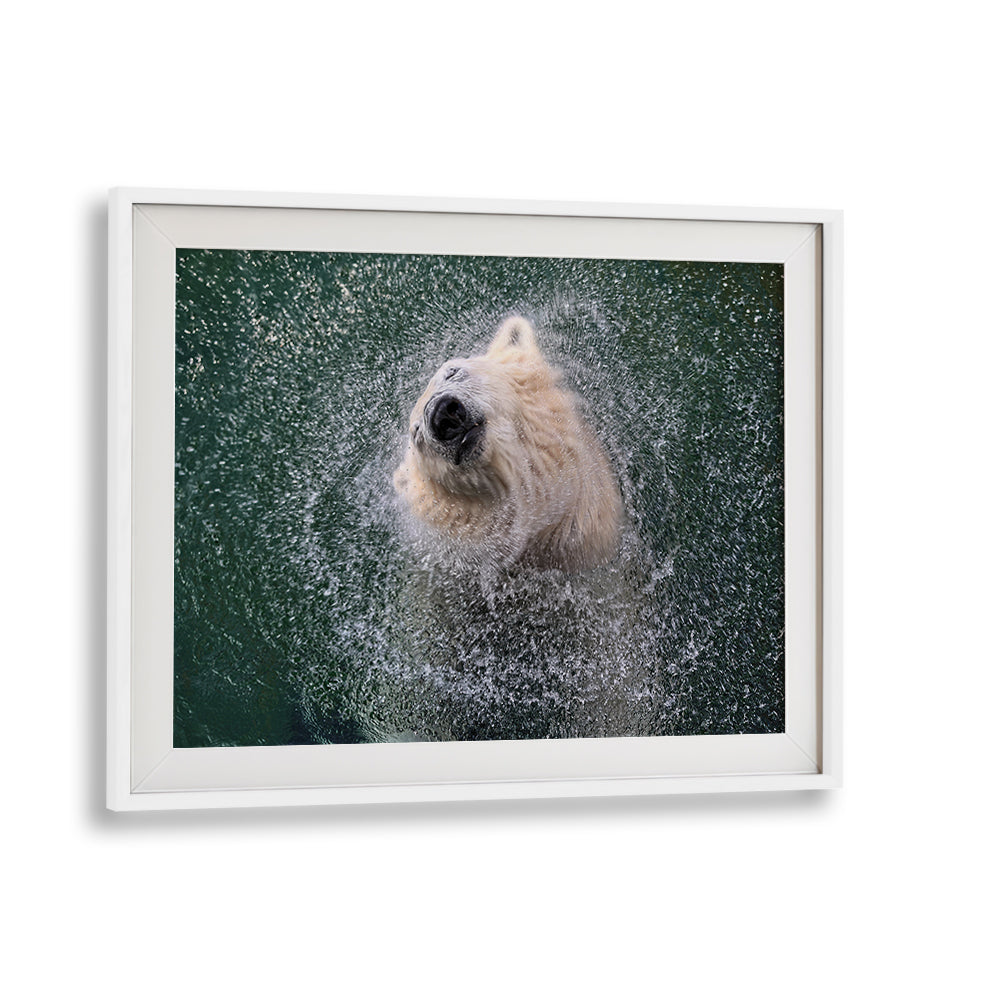 Vibrant polar bear splashing in water, showcasing FRESHNESS FOR HOT SUMMER DAYS, PHOTOGRAPHY PRINTS collection.