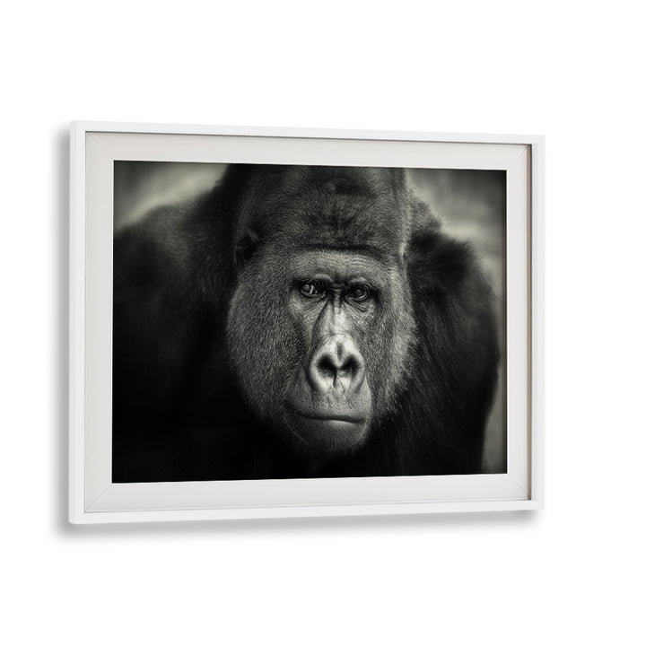 LITTLE SMILE , PHOTOGRAPHY PRINTS
