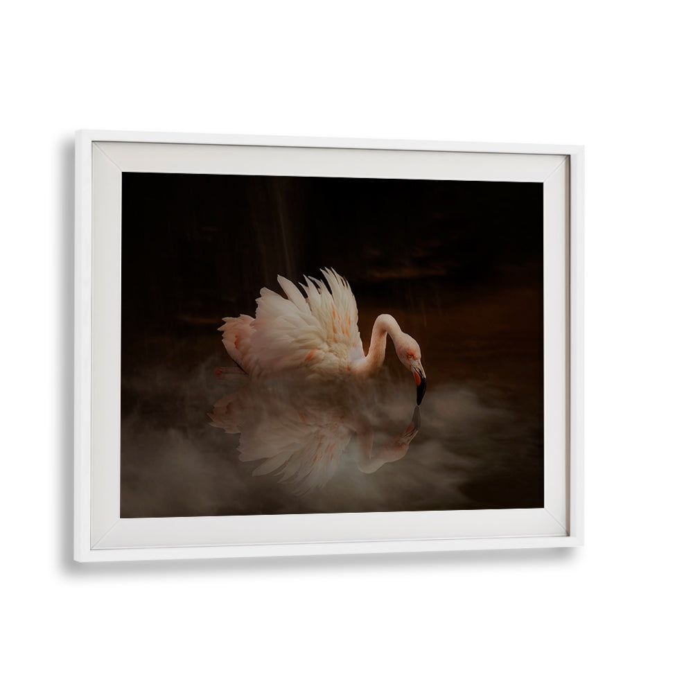 Elegant light pink flamingo reflected in water, featured in FLAMINGO'S PARADISE, PHOTOGRAPHY PRINTS for nature lovers.