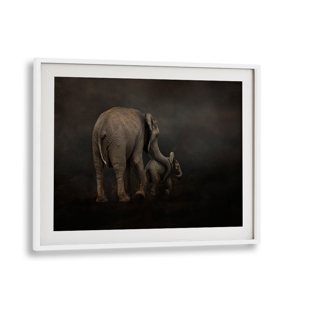 Majestic elephants embrace in "I HOLD YOU, PHOTOGRAPHY PRINTS," capturing a tender wildlife moment.