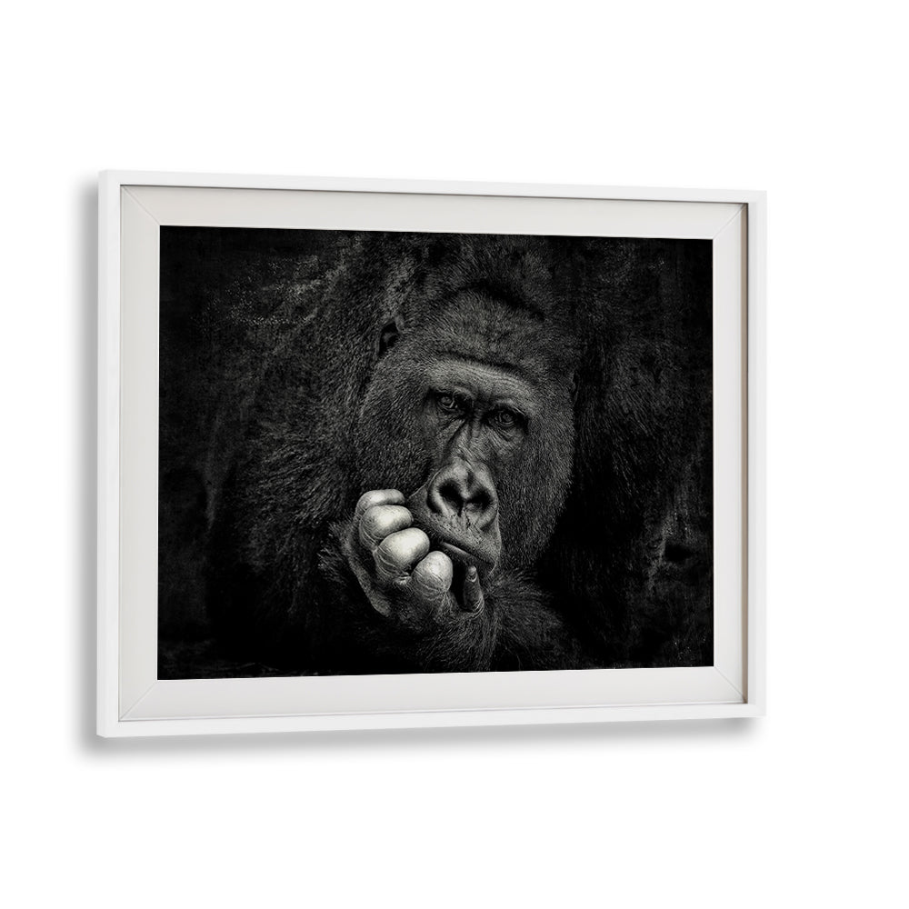 Stunning YOU, PHOTOGRAPHY PRINTS showcase a gorilla's contemplative beauty in fine art wildlife photography.