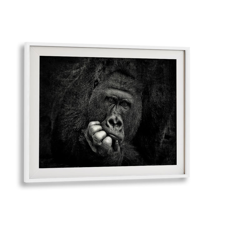 Stunning YOU, PHOTOGRAPHY PRINTS showcase a gorilla's contemplative beauty in fine art wildlife photography.