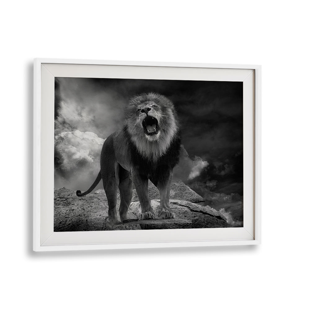 Majestic LION'S ROAR, PHOTOGRAPHY PRINTS showcase the raw power and beauty of the king of the jungle.