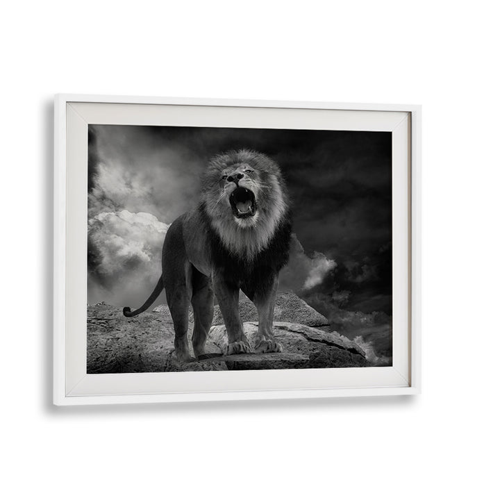 Majestic LION'S ROAR, PHOTOGRAPHY PRINTS showcase the raw power and beauty of the king of the jungle.