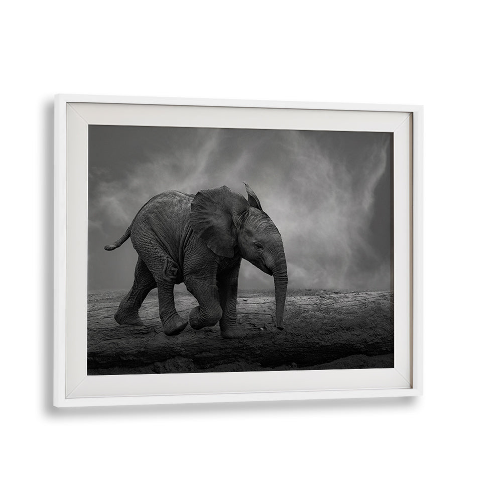 Solitary elephant walking across a barren landscape in stunning WALKING AROUND, PHOTOGRAPHY PRINTS collection.