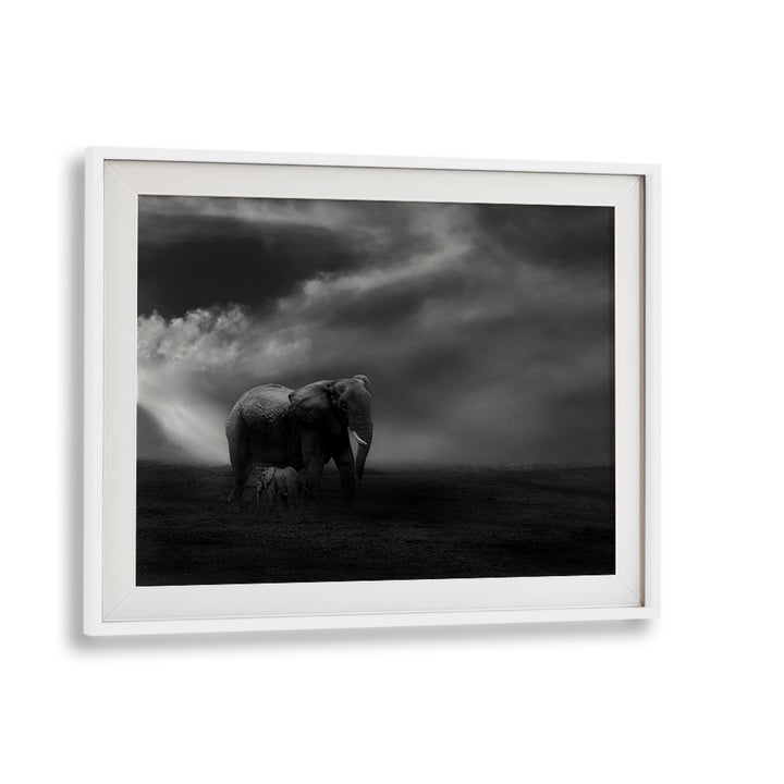 Mother elephant and baby in a dramatic landscape, showcasing AFFECTION, PHOTOGRAPHY PRINTS' wildlife beauty.