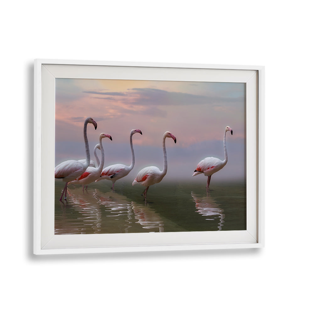 Serene flamingos wading in water at sunset, perfect for your decor with FLAMINGO SUNSET, PHOTOGRAPHY PRINTS.