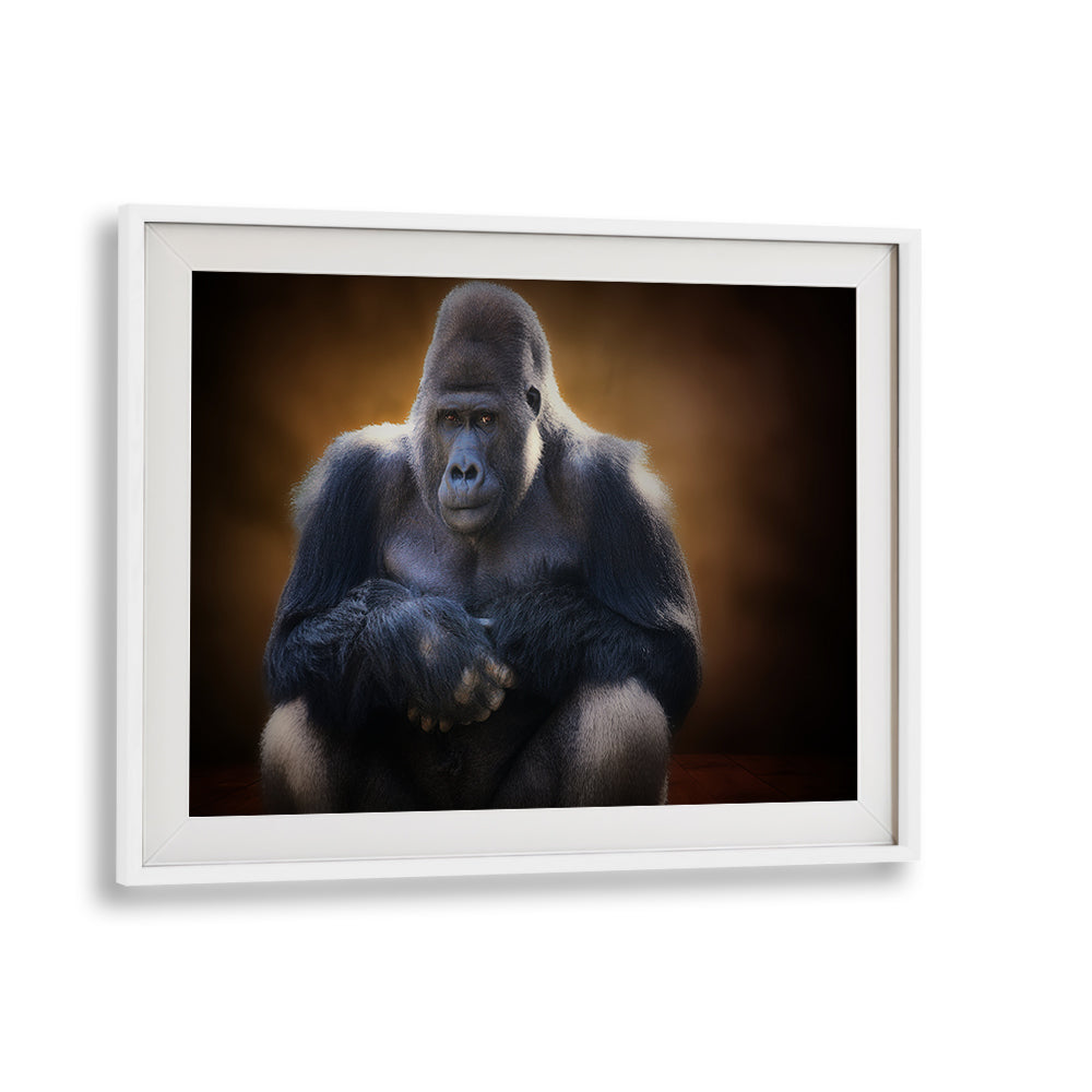 Stunning gorilla portrait from the SOUR, PHOTOGRAPHY PRINTS collection, showcasing wildlife's raw beauty.
