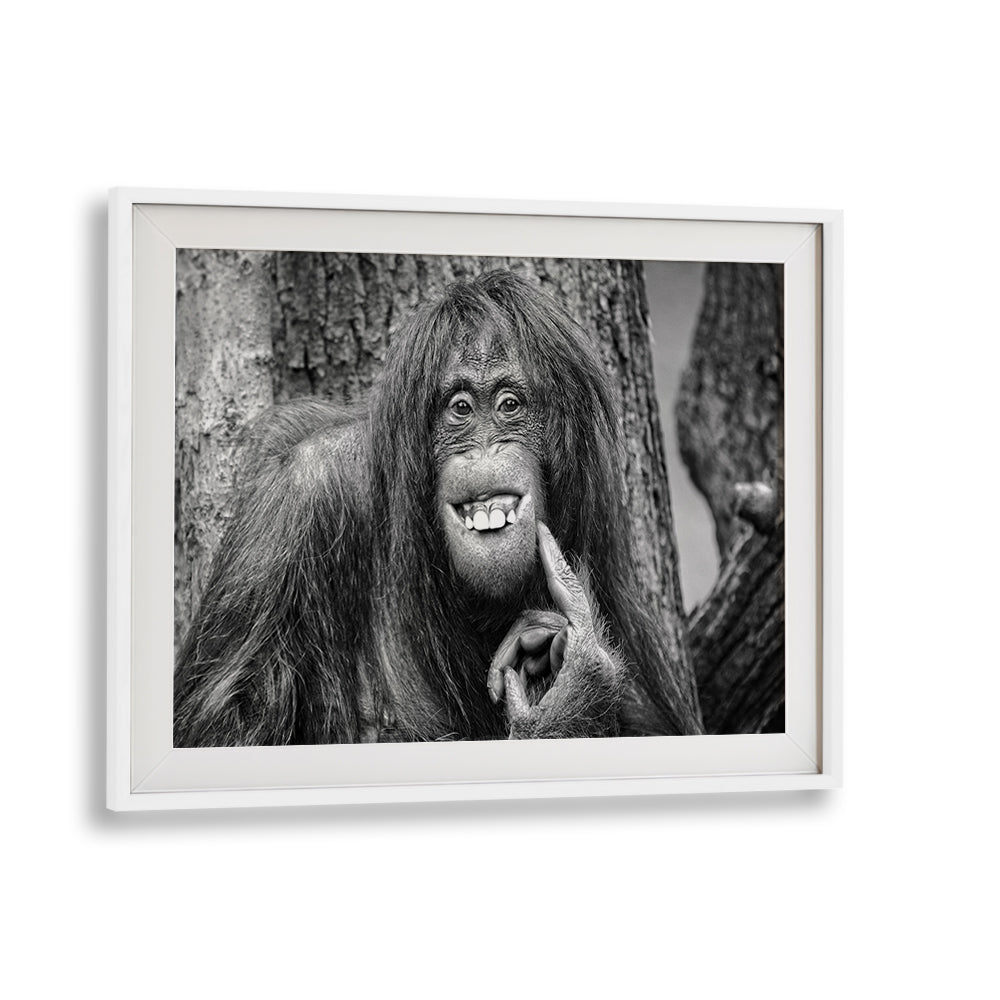 Whimsical wildlife portrait showcasing a smiling monkey, part of SHE'S GOT THE LOOK, PHOTOGRAPHY PRINTS collection.