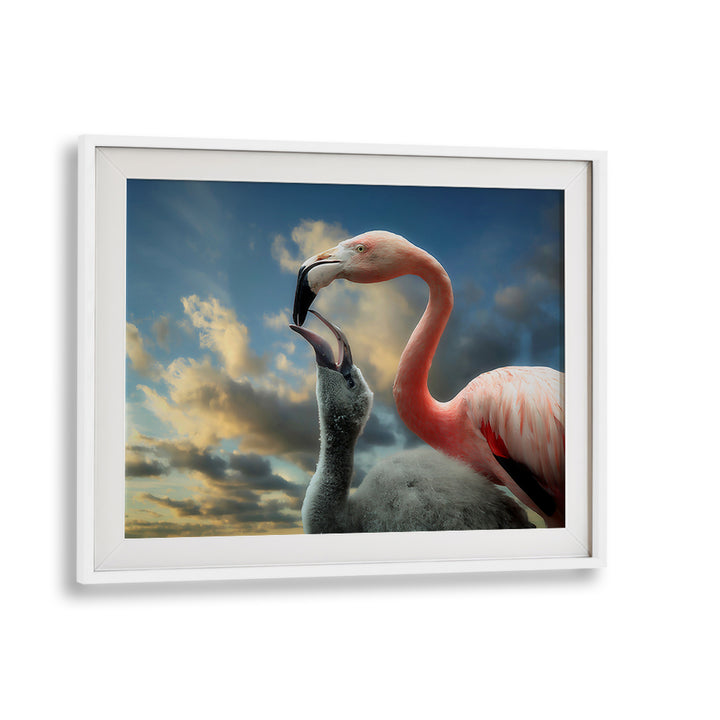 Flamingos interact in this stunning display from THE NESTLING, PHOTOGRAPHY PRINTS collection, showcasing nature's beauty.