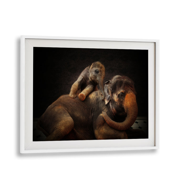 Adorable elephants captured in "FUN WITH THE KIDS I, PHOTOGRAPHY PRINTS" for a touch of wildlife magic.