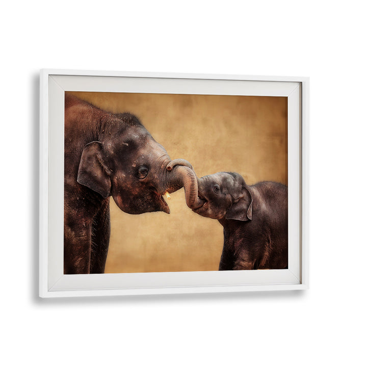 Elegant HAND IN HAND, PHOTOGRAPHY PRINTS featuring a heartfelt moment between elephants, showcasing nature's beauty.