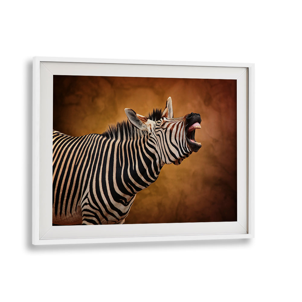 Stunning zebra photography print titled "LOVE IS IN THE AIR, PHOTOGRAPHY PRINTS," capturing nature's wild beauty.