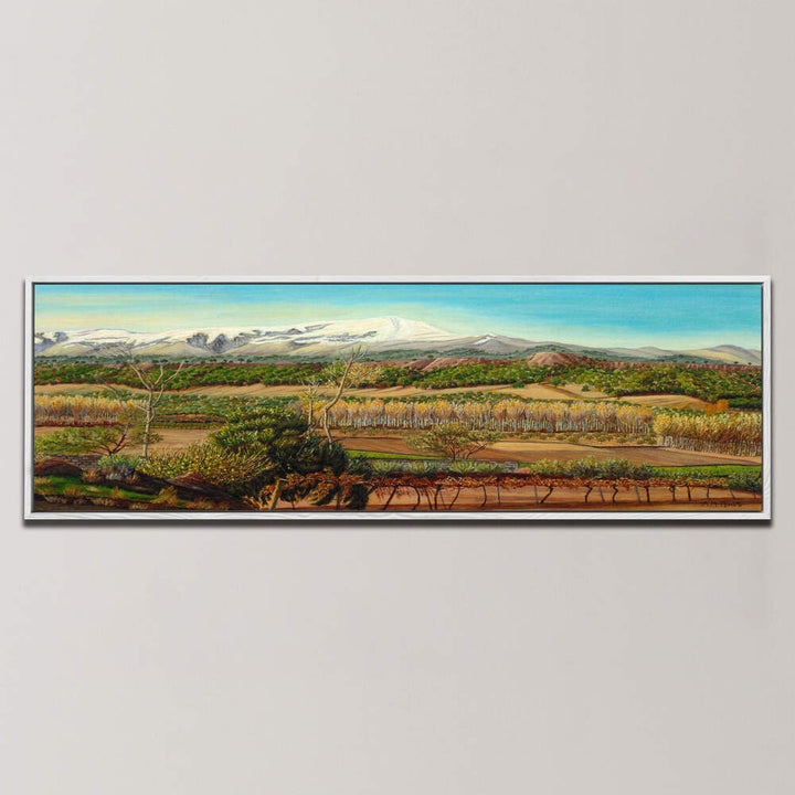 VINEYARD VALLEY IN THE SIERRA NEVADA SURROUNDINGS