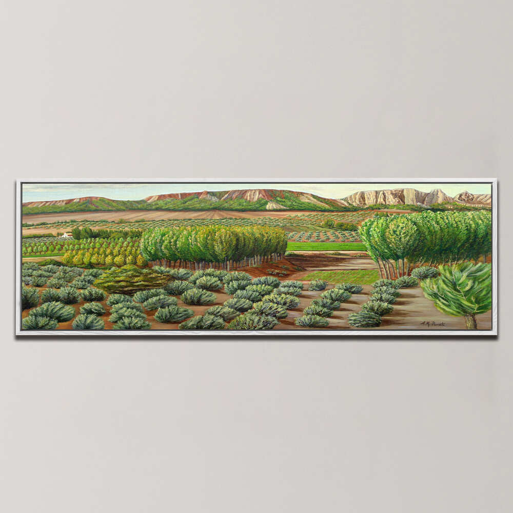 BRIGHT MORNING IN ALCUDIA