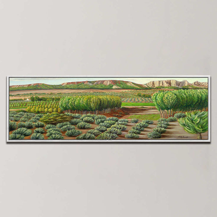 BRIGHT MORNING IN ALCUDIA