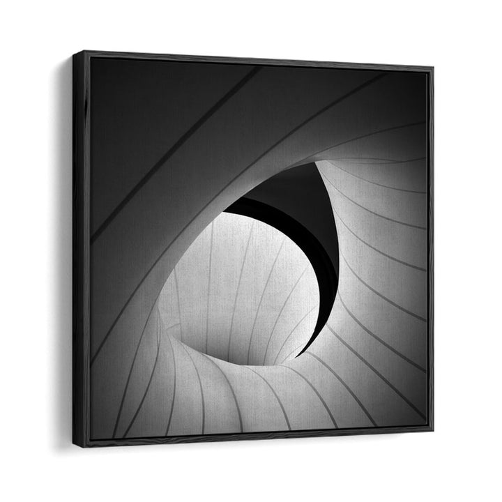 WINTON GALLERY CEILING LANDSCAPE PHOTOGRAPHY in Black Floater Frame