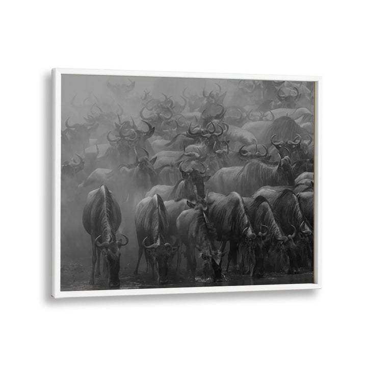 PHOTOGRAPHY painting - THE GREAT MIGRATION BY HENRY ZHAO by Asianmonk