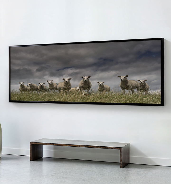 WE COME IN PEACE , PANORAMIC ART