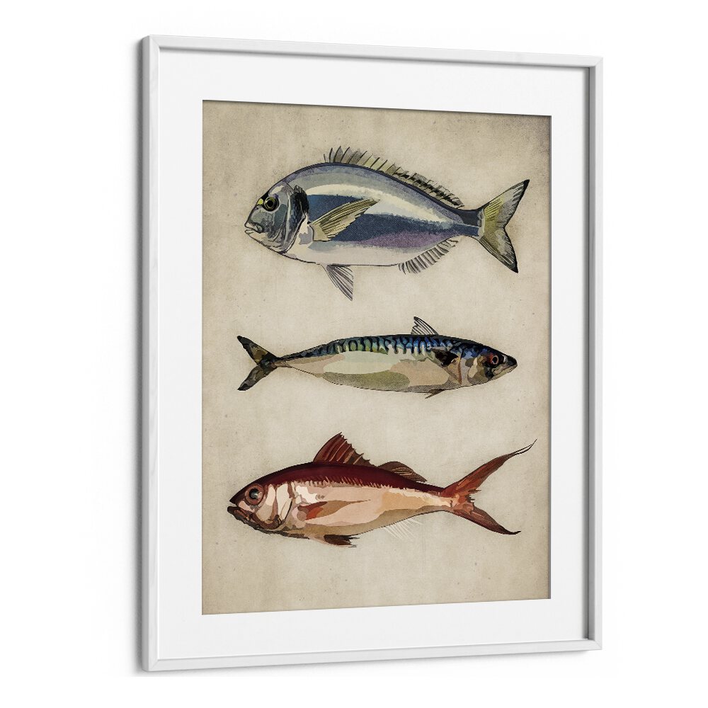 FISHES BY EMEL TUNABOYLU
