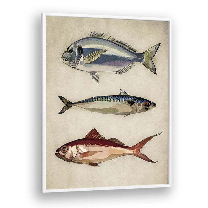 FISHES BY EMEL TUNABOYLU